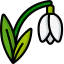 Snowdrop icon 64x64