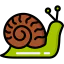 Snail icon 64x64