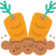 Carrots icon 64x64