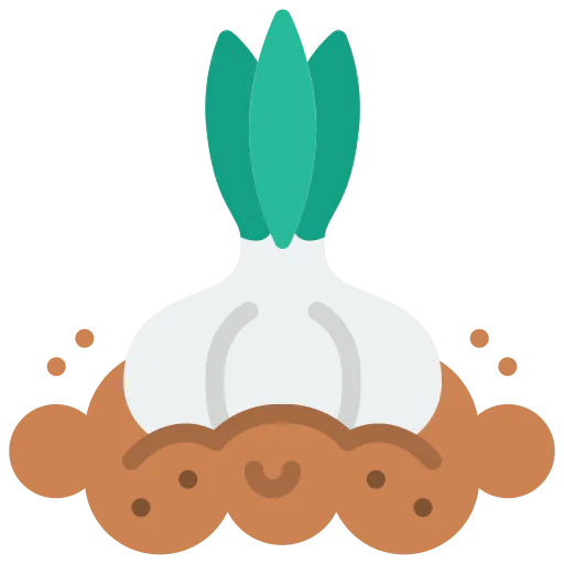 Garlic icon