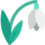 Snowdrop icon 64x64