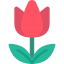 Tulip icon 64x64