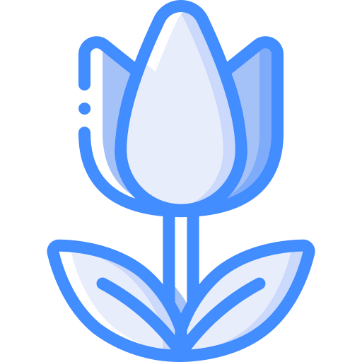 Tulip icon