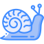 Snail icon 64x64