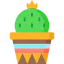 Cactus icon 64x64