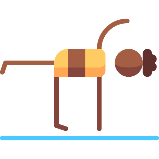 Exercise icon