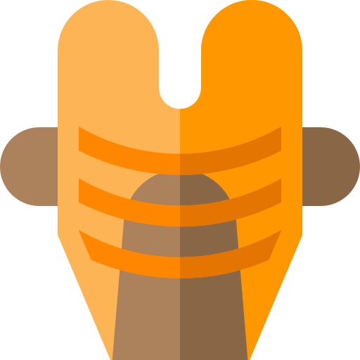 Vest icon
