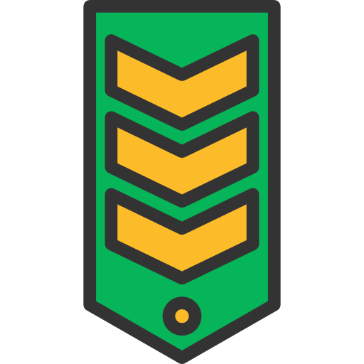 Chevron icon