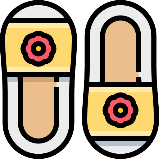 Flip flops icon