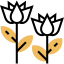 Tulip icon 64x64