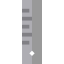 Ruler Ikona 64x64
