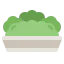 Bush icon 64x64
