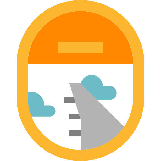 Window icon