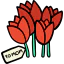 Tulips icon 64x64