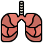 Lungs icon 64x64