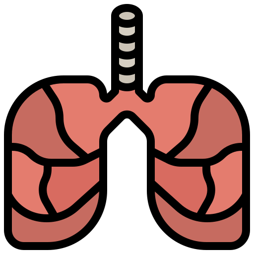 Lungs icon