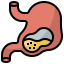 Stomach icon 64x64