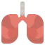 Lungs icon 64x64