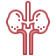 Kidney icon 64x64