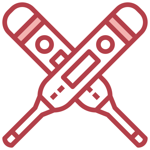 Thermometer icon