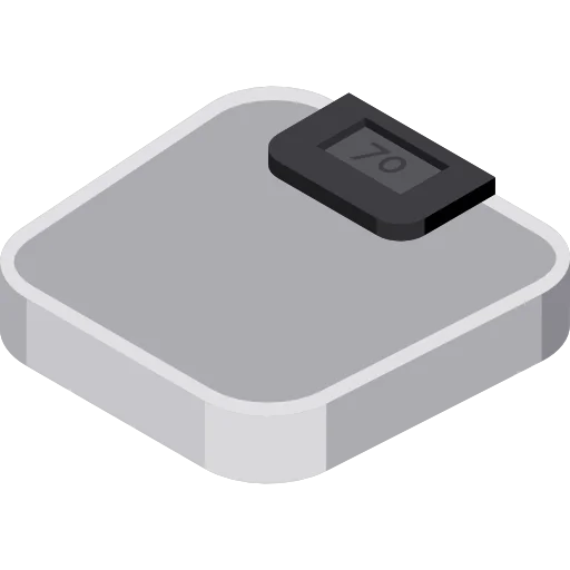 Scale icon