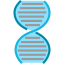Gene icon 64x64