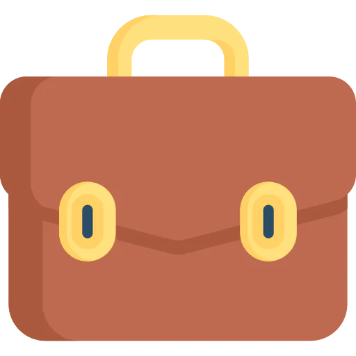 Portfolio icon