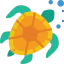 Turtle icon 64x64