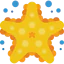 Starfish icon 64x64