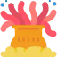 Coral icon 64x64