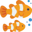 Clownfish icon 64x64