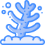 Coral icon 64x64