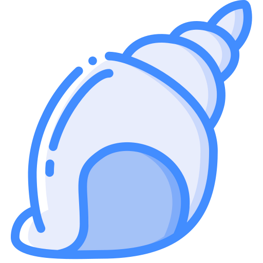 Shell icône