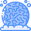Coral icon 64x64