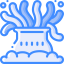 Coral icon 64x64