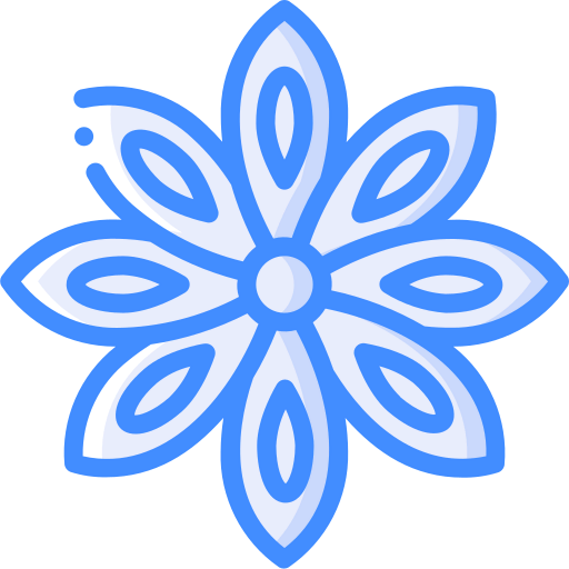 Anise icon