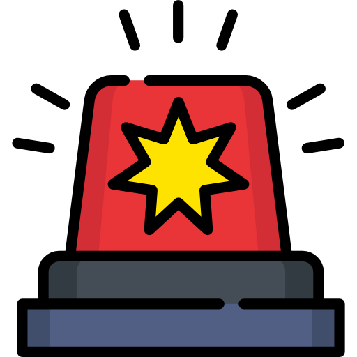 Flasher icon