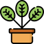 Plant icon 64x64