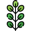 Leaves icon 64x64