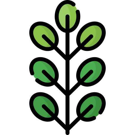 Leaves icon