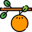 Fruit icon 64x64