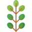 Leaves icon 64x64
