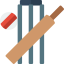 Cricket icon 64x64