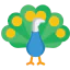 Peacock icon 64x64