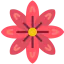 Бархатцы иконка 64x64