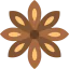 Anise icon 64x64