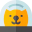 Cat icon 64x64