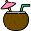Coconut icon 64x64