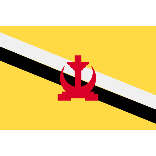 Brunei icon