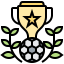 Championship icon 64x64